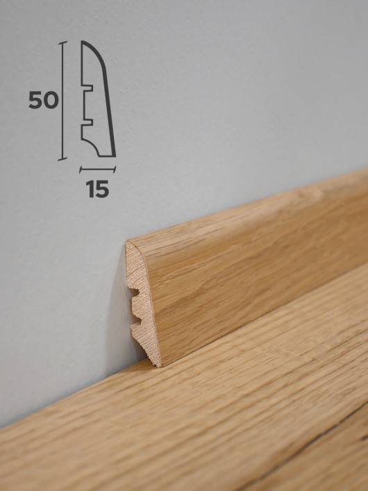 Zaključna obstenska letev PISA