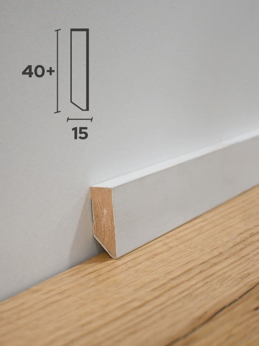 Zaključna obstenska letev PRIME-1, za stensko barvo